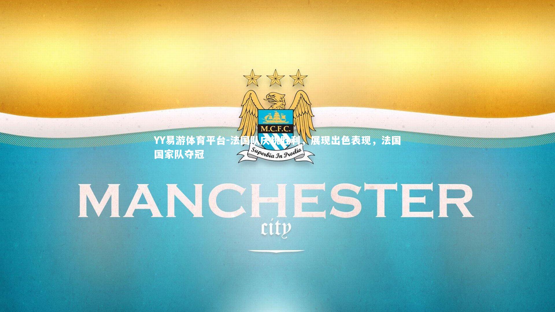 YY易游体育平台-法国队庆祝胜利，展现出色表现，法国国家队夺冠