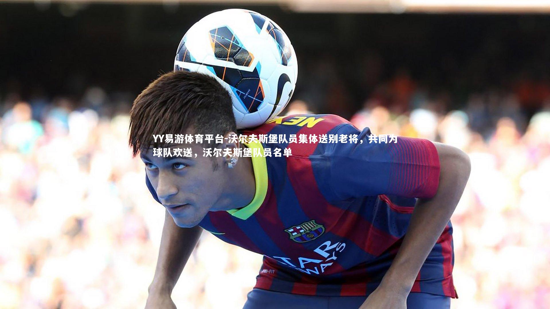 YY易游体育平台-沃尔夫斯堡队员集体送别老将，共同为球队欢送，沃尔夫斯堡队员名单