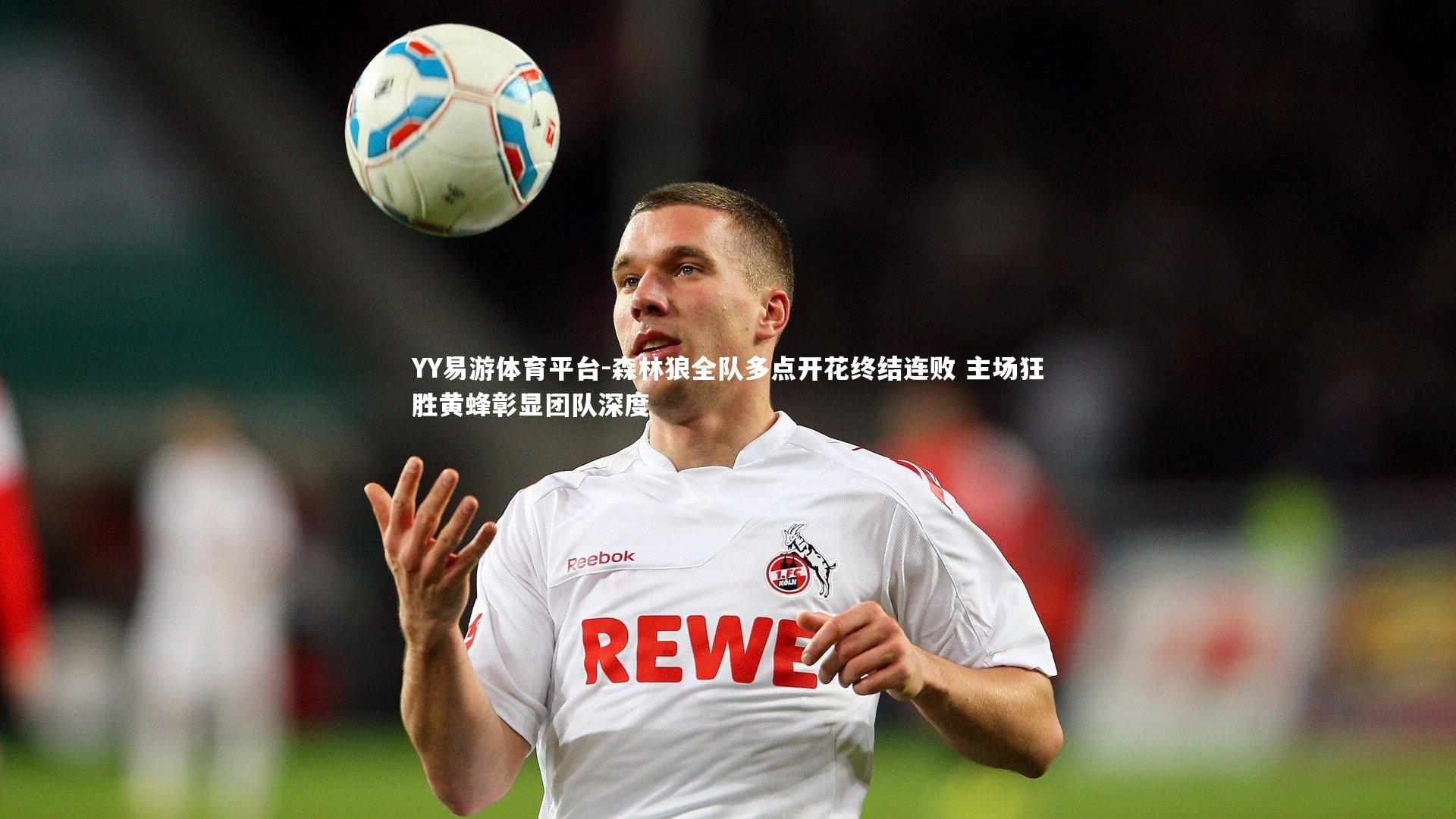 森林狼全队多点开花终结连败 主场狂胜黄蜂彰显团队深度