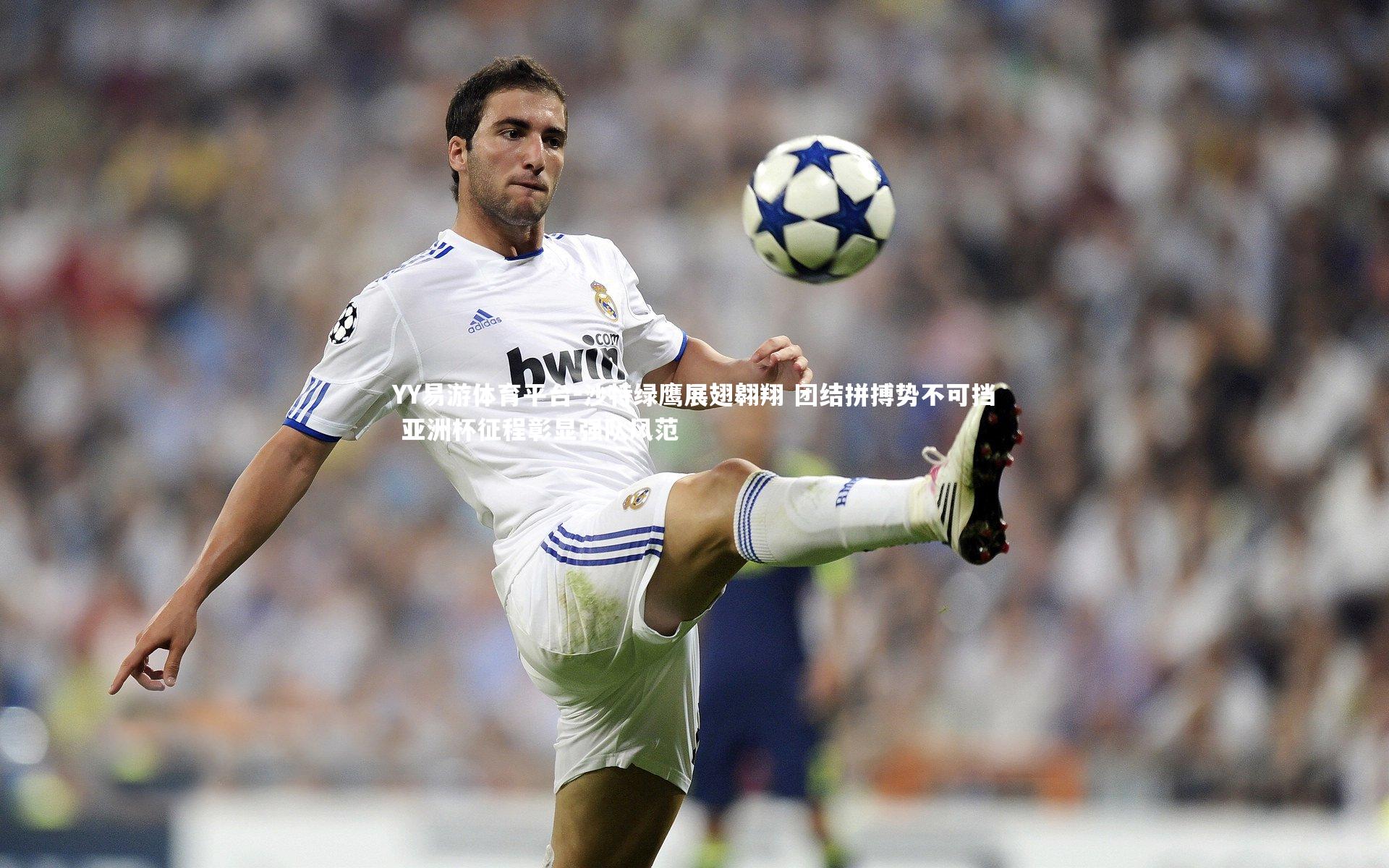 沙特绿鹰展翅翱翔 团结拼搏势不可挡 亚洲杯征程彰显强队风范